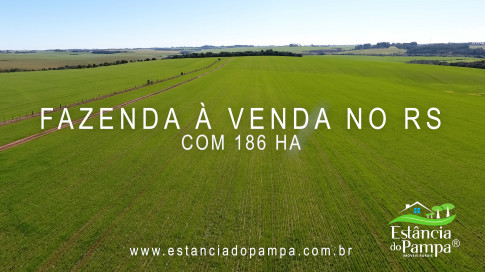 VAI DA BR PARA A FAZENDA.00_00_21_27.Quadro009_4ff12d308093e90ff925f7e130851bb54c1dea3b.jpg